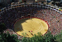 Bullfight Fair